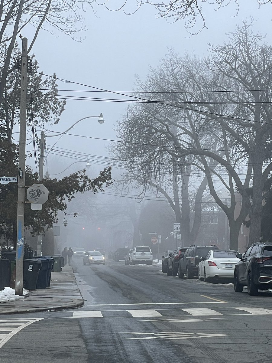 Trinity Bellwoods & Park tweet media