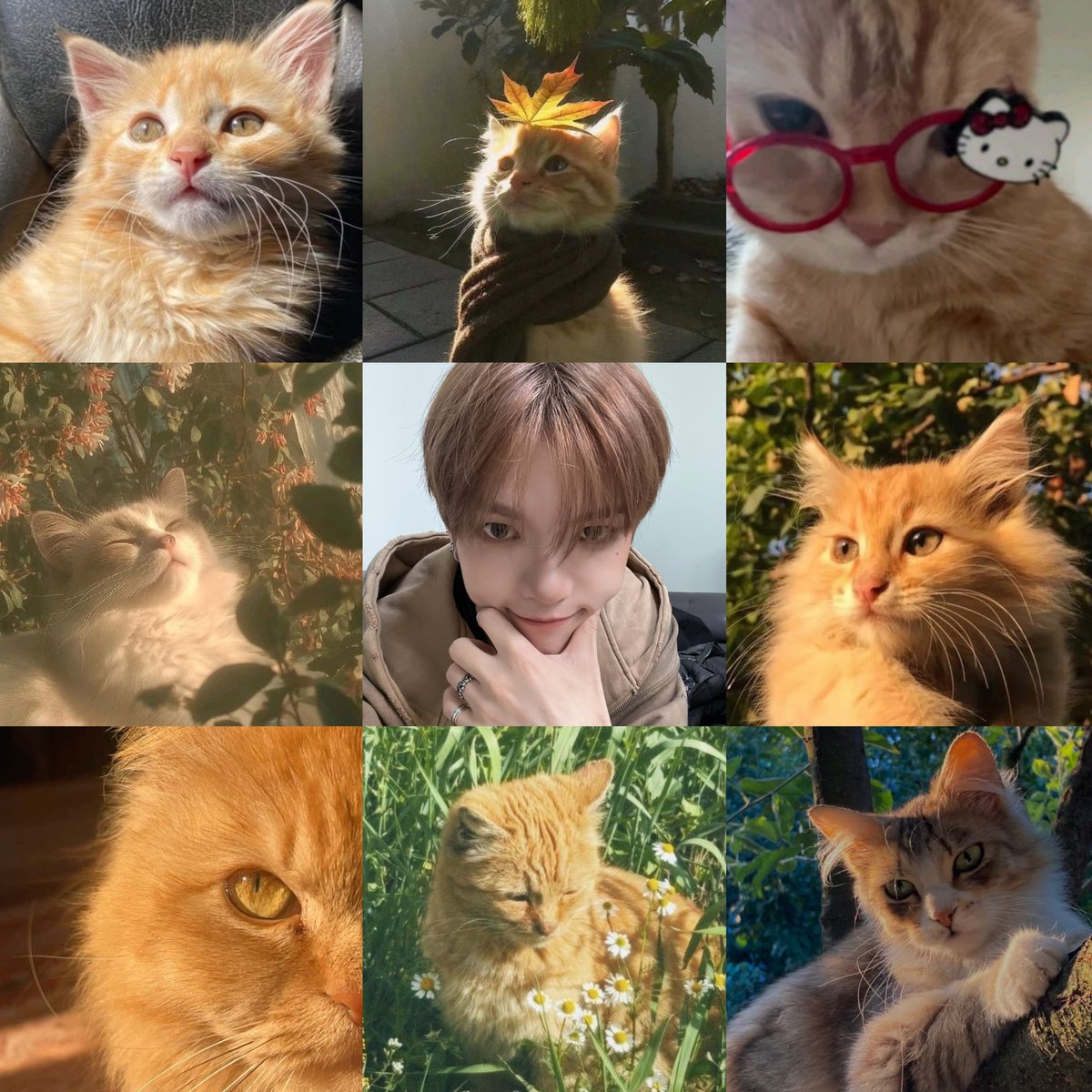 shea🍂 tweet media