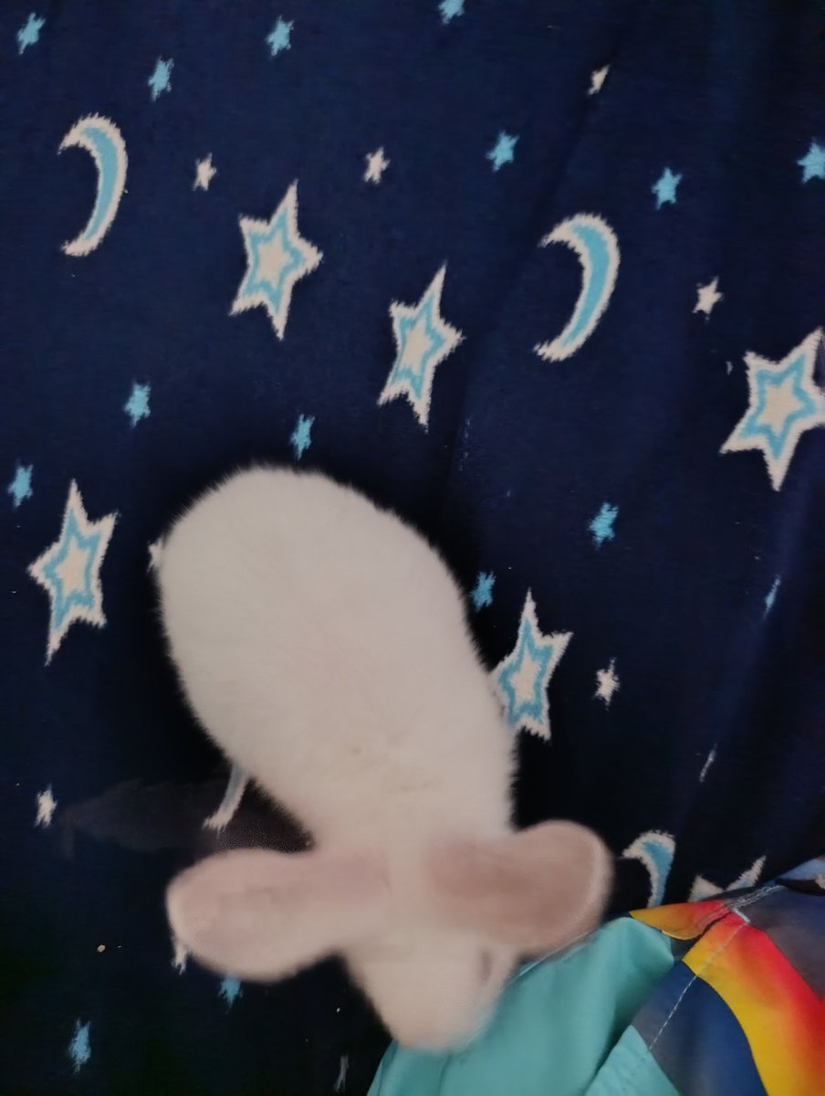 elistrangez's tweet image. Miren está hpt toda hermosa