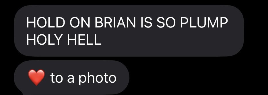 gasket ⚙️ tweet media