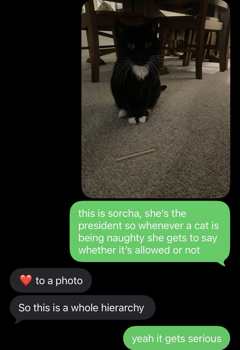 gasket ⚙️ tweet media