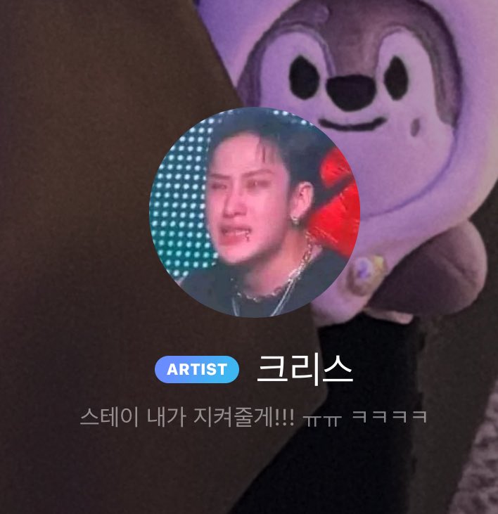 chan’s new pfp and bubble status?? “stay i will protect you” 😭😭