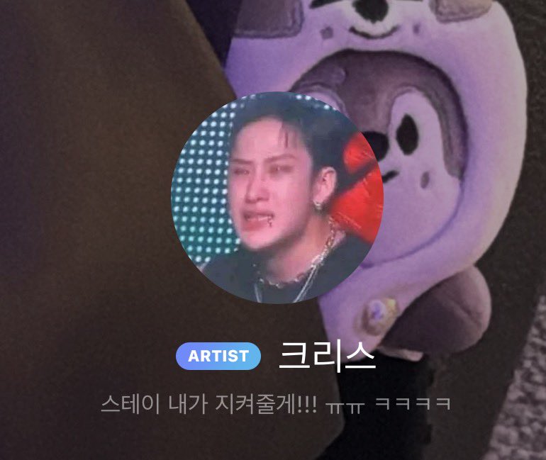 DE TODAS AS FOTOS DO MUNDO O CHAN ESCOLHEU ESSA PRA COLOCAR NO PERFIL DO BUBBLE EU AMO ELE TANTO