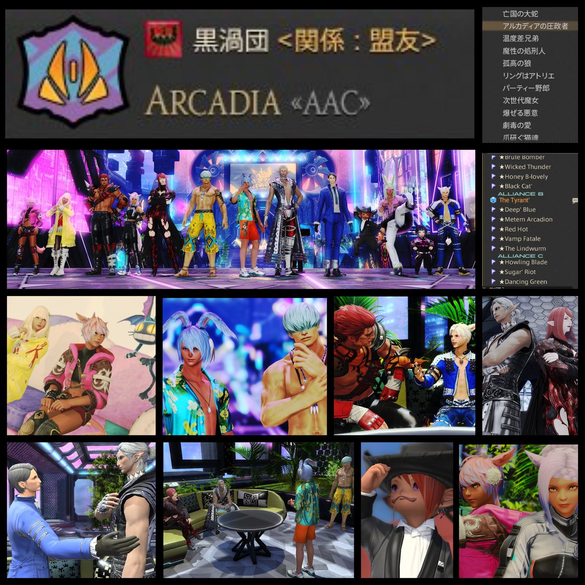 さんさん🐈⬛🐸👑 tweet media