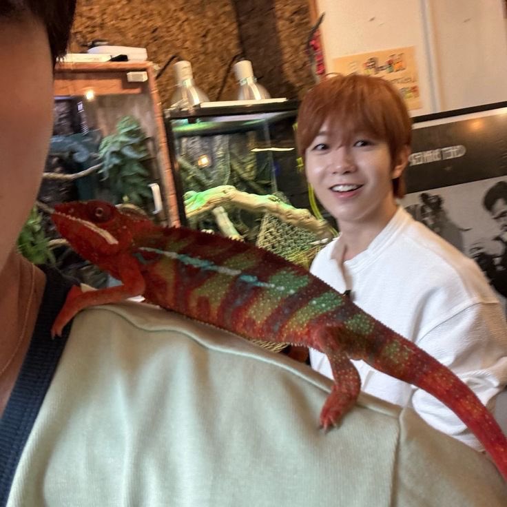 ryocrack's tweet image. 4 personas q amo
4 personas q lo hagan
@jncreible @ryomiomega @offlaraa @argenryo