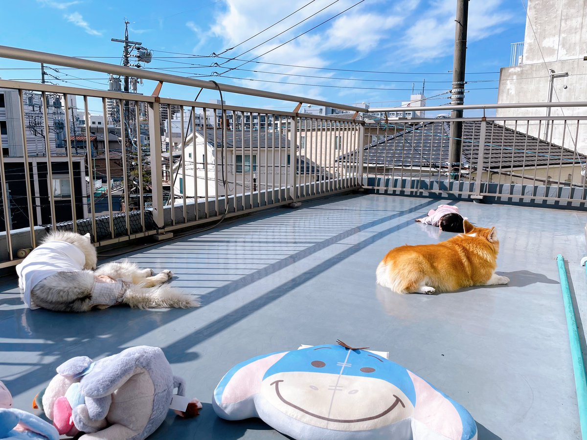 carry&mugi tweet media