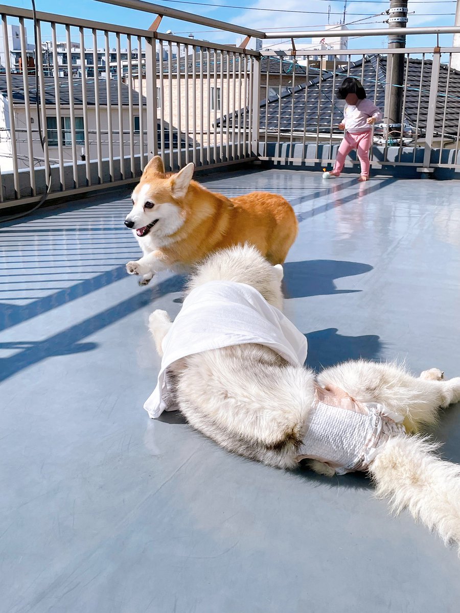 carry&mugi tweet media