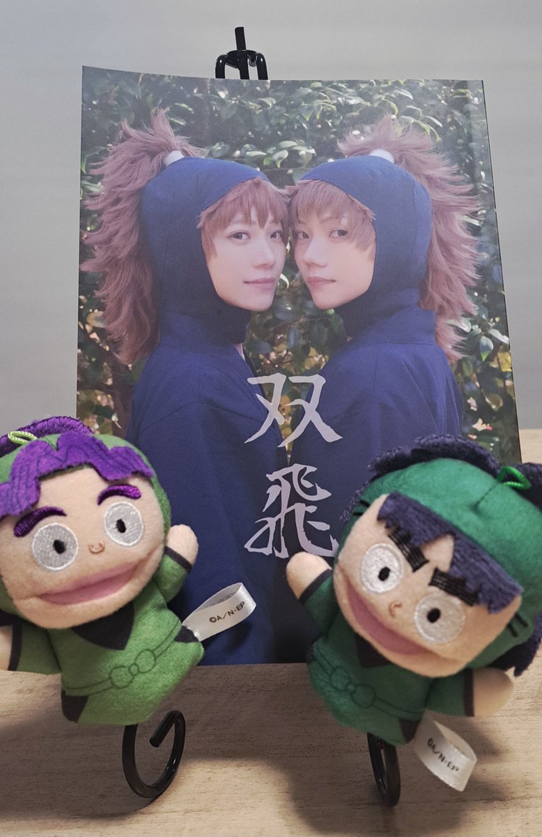 ぽやさんとアズさんの双飛の本届きましたー！！
今からゆっくり見ていきます...🥰