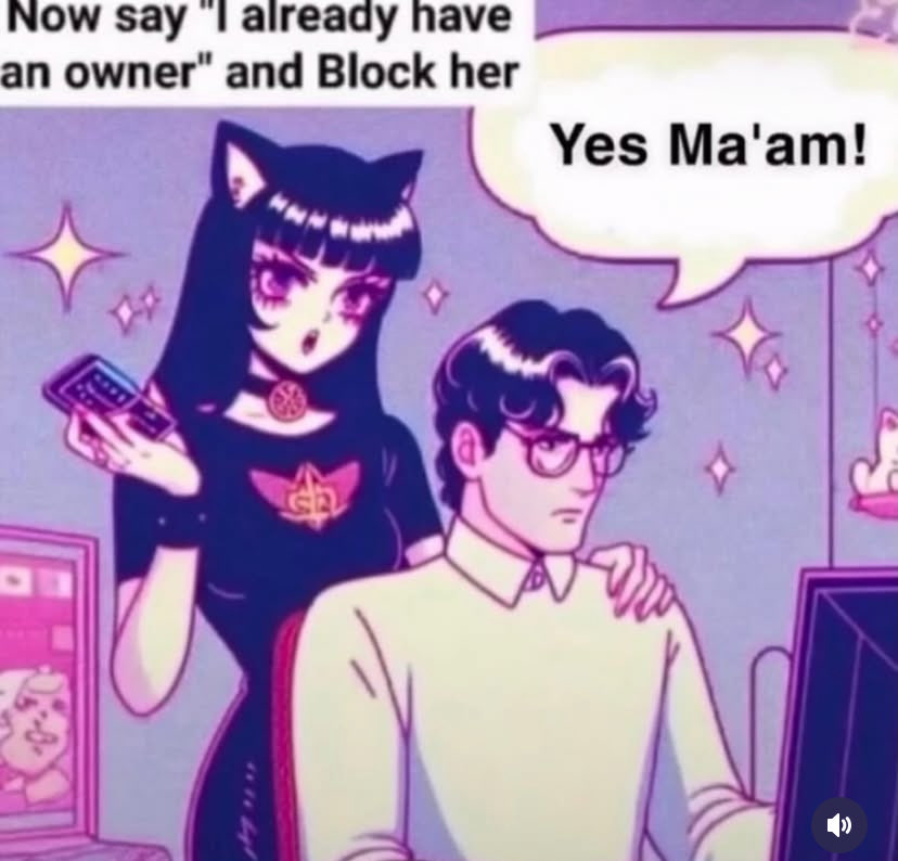 Lily tweet media