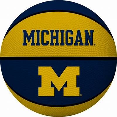 LexDiamonds7's tweet photo. Kicking butt & rolling along...YOU'RE NEXT, PUKE!!
25-1, 15-1 B1G, 11 straight wins
#GoBlue πππ #BeatPuke https://t.co/O1PzlhBdDW