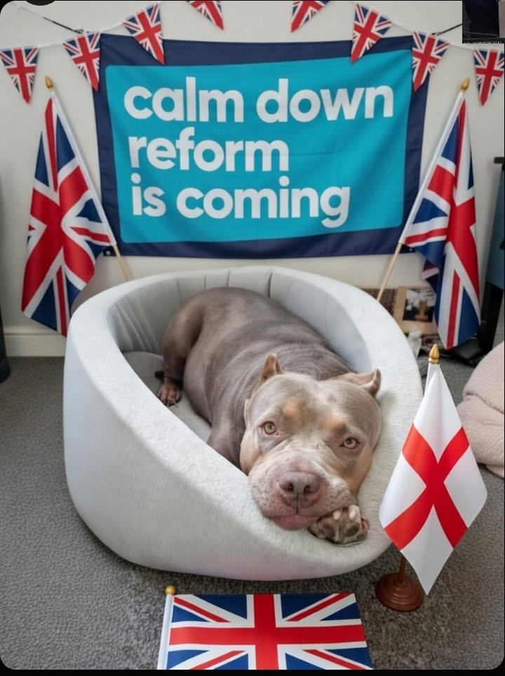 Me and the Hubby <a href="/spicybwoyuk/">The Western Supremacist</a> are in a race to get to 2k followers. Let's see who wins. 🤔😅 

Please help me patriots.🩵🏴󠁧󠁢󠁥󠁮󠁧󠁿