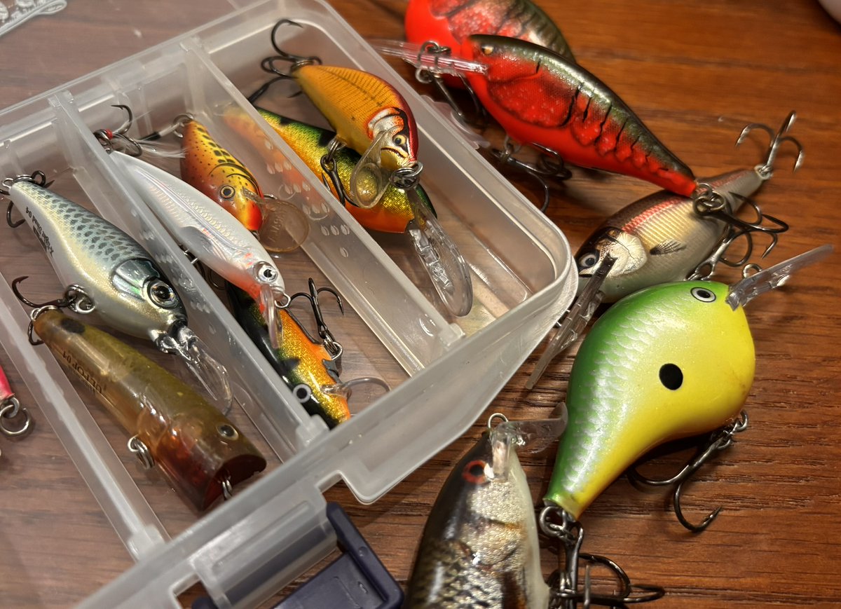 RAPALA ラパラ・ジャパン株式会社 (@rapalajapan) / Posts / X