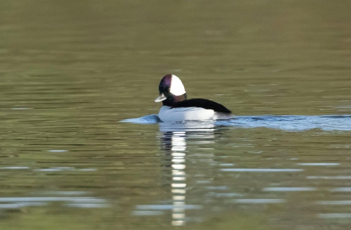 Caleb Knight tweet media