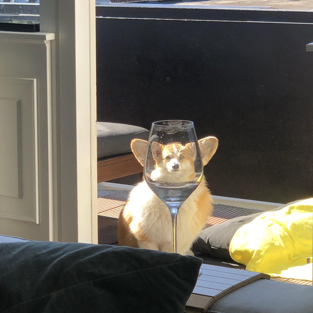 ktos u mnie w pracy zlamal noge i dostal l4 na 6 tygodni, nikomu nie zazdroszcze bardziej niz tej osobie