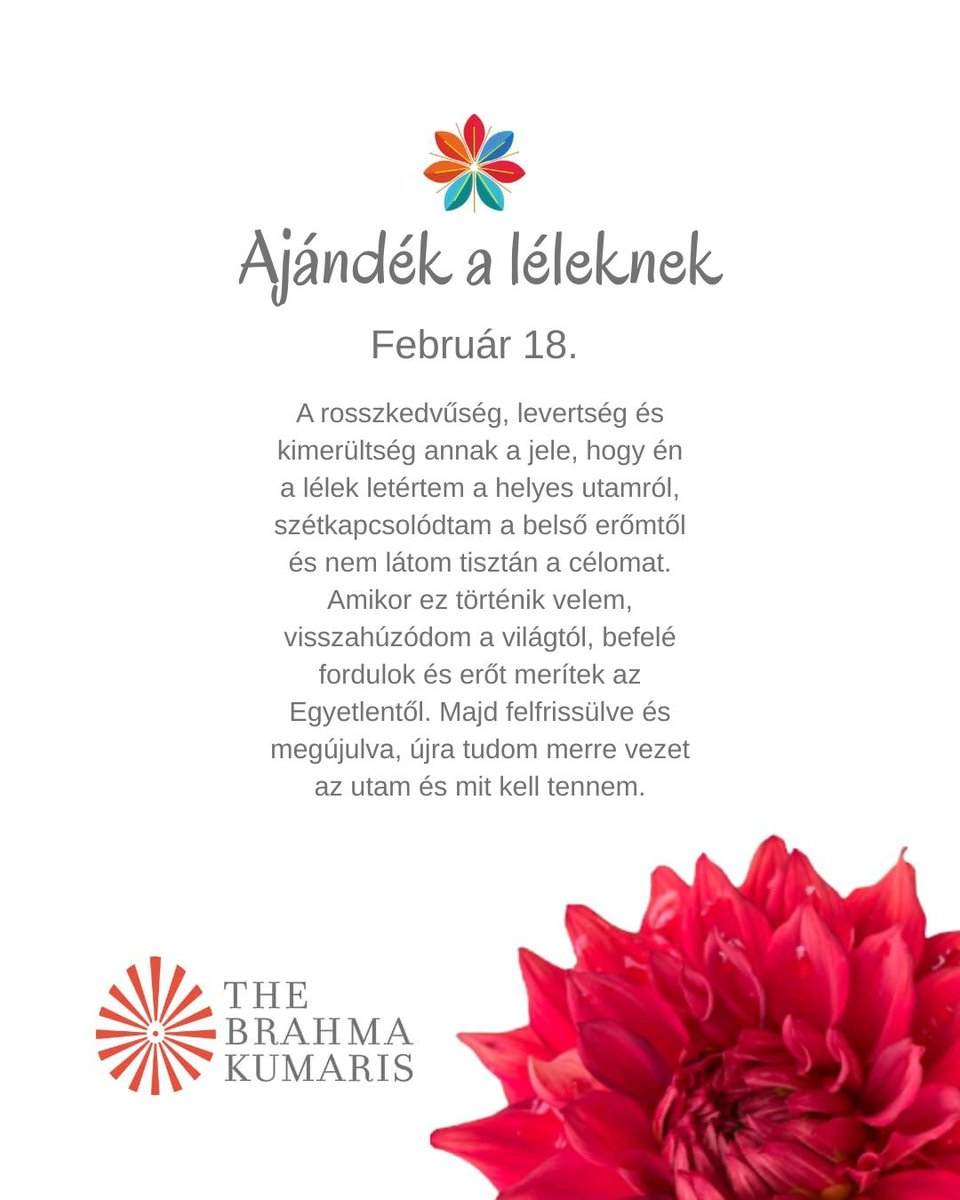 #raja_jóga #positivgondolatok #positívgondolatok #ajándékaléleknek
brahmakumaris.hu