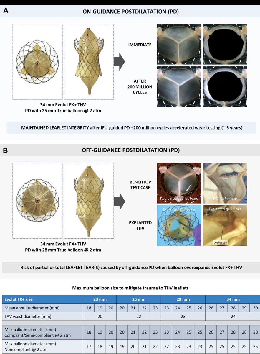 Muhammad Anis Haider tweet media