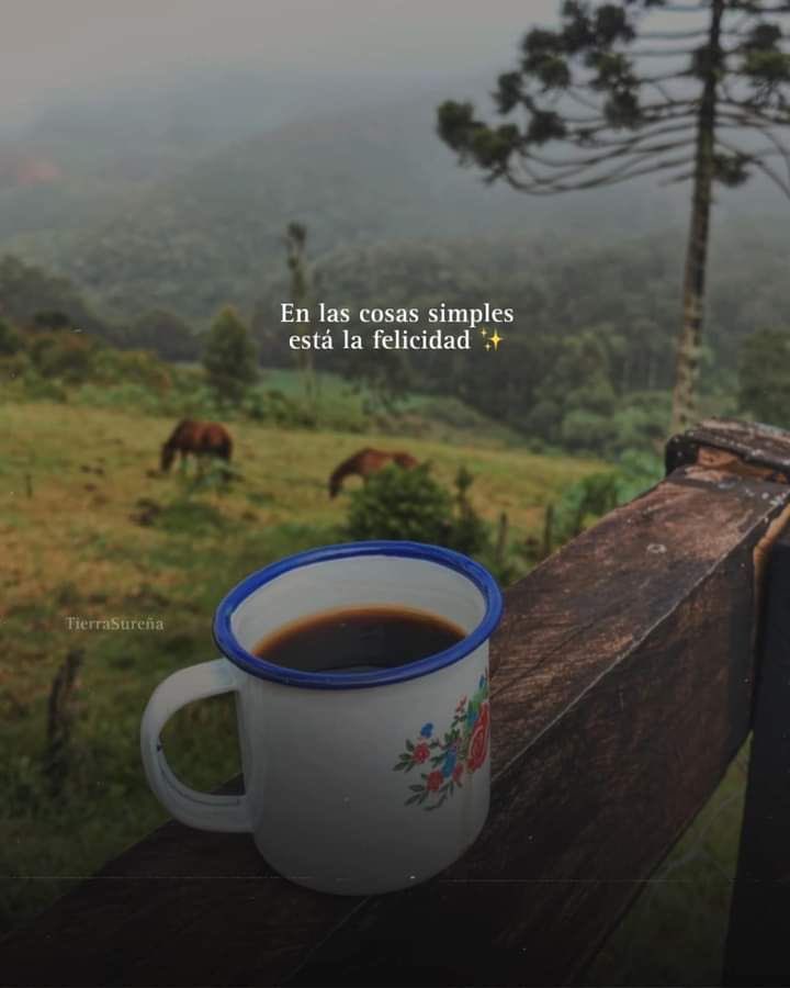 frases sad (@retumbera) on Twitter photo 