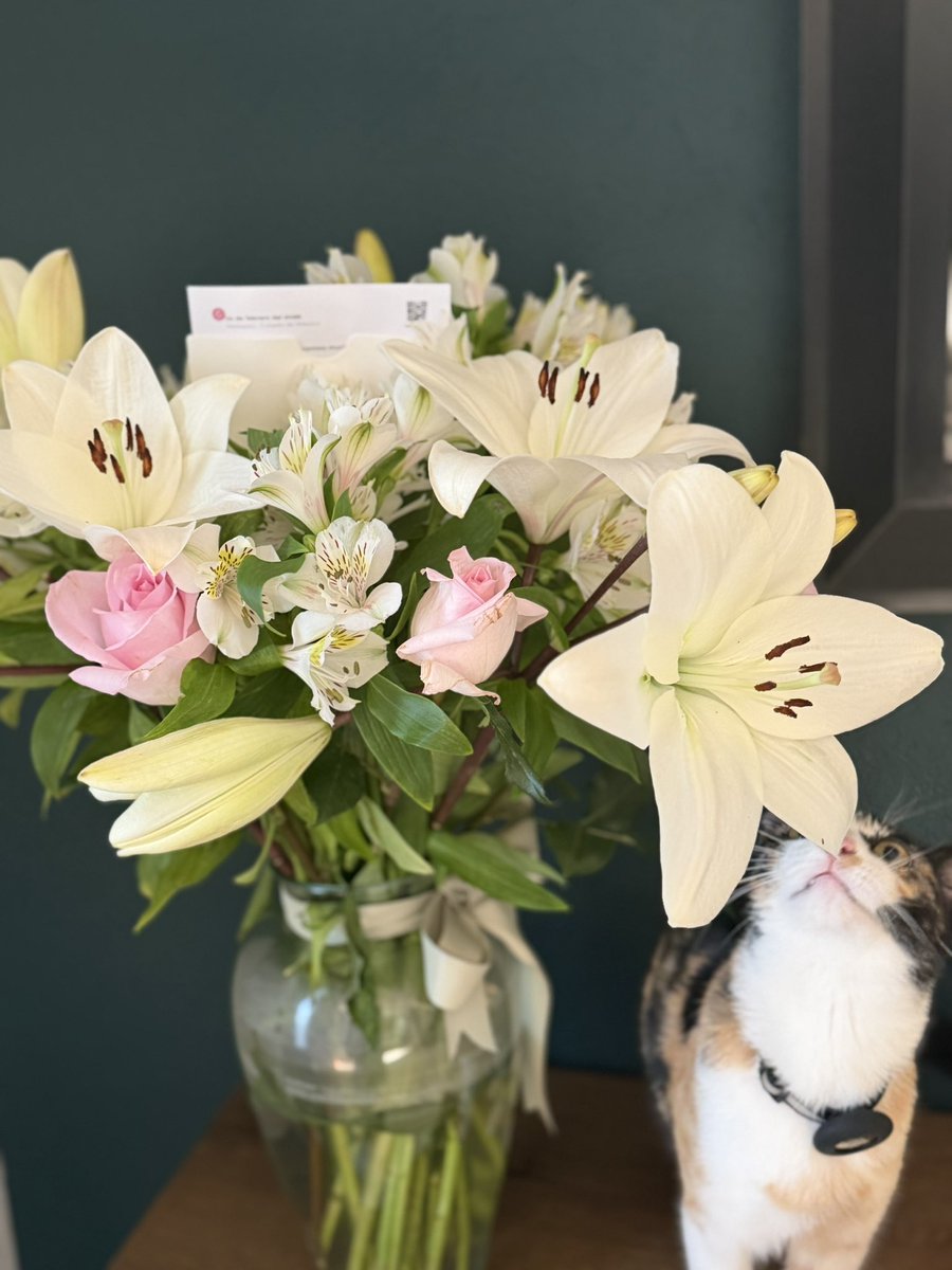 KenaAvila's tweet photo. Recuento de las flores de febrero…. Cumpleaños, visitas y San Valentín!! 

Maravilloso mes para celebrar!!! 
Gracias a todos los que pensaron en mí 🩷🤍💛 https://t.co/vZUtgAL5he