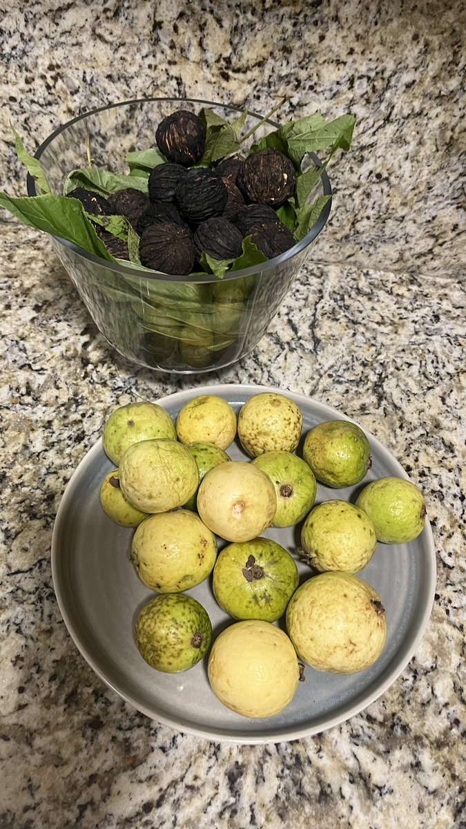 Yo regresando de mi pueblo con la cosecha de mi abuela.