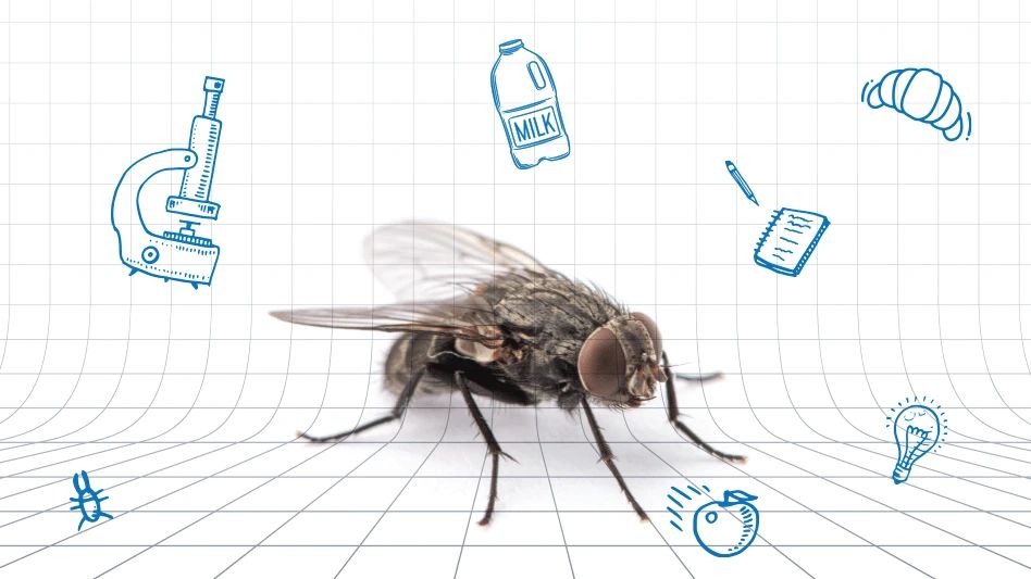 The more we know about pests’ behavior, food preferences and biology, the better we can manage them and keep them out of the food supply. Dig into the latest research on unwanted invaders for new strategies to keep your facility pest-free. buff.ly/FgL4sLg