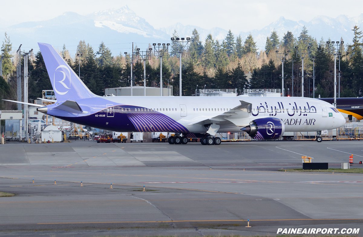 Paine Airport tweet media