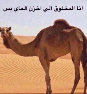 7w1_i's tweet photo. فهمت؟؟ https://t.co/R30HvQLlCu