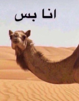 7w1_i's tweet photo. فهمت؟؟ https://t.co/R30HvQLlCu