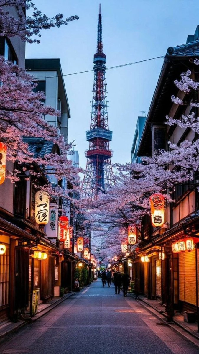 Mulla9131's tweet photo. Tokyo,japan https://t.co/58DU7mSH4H