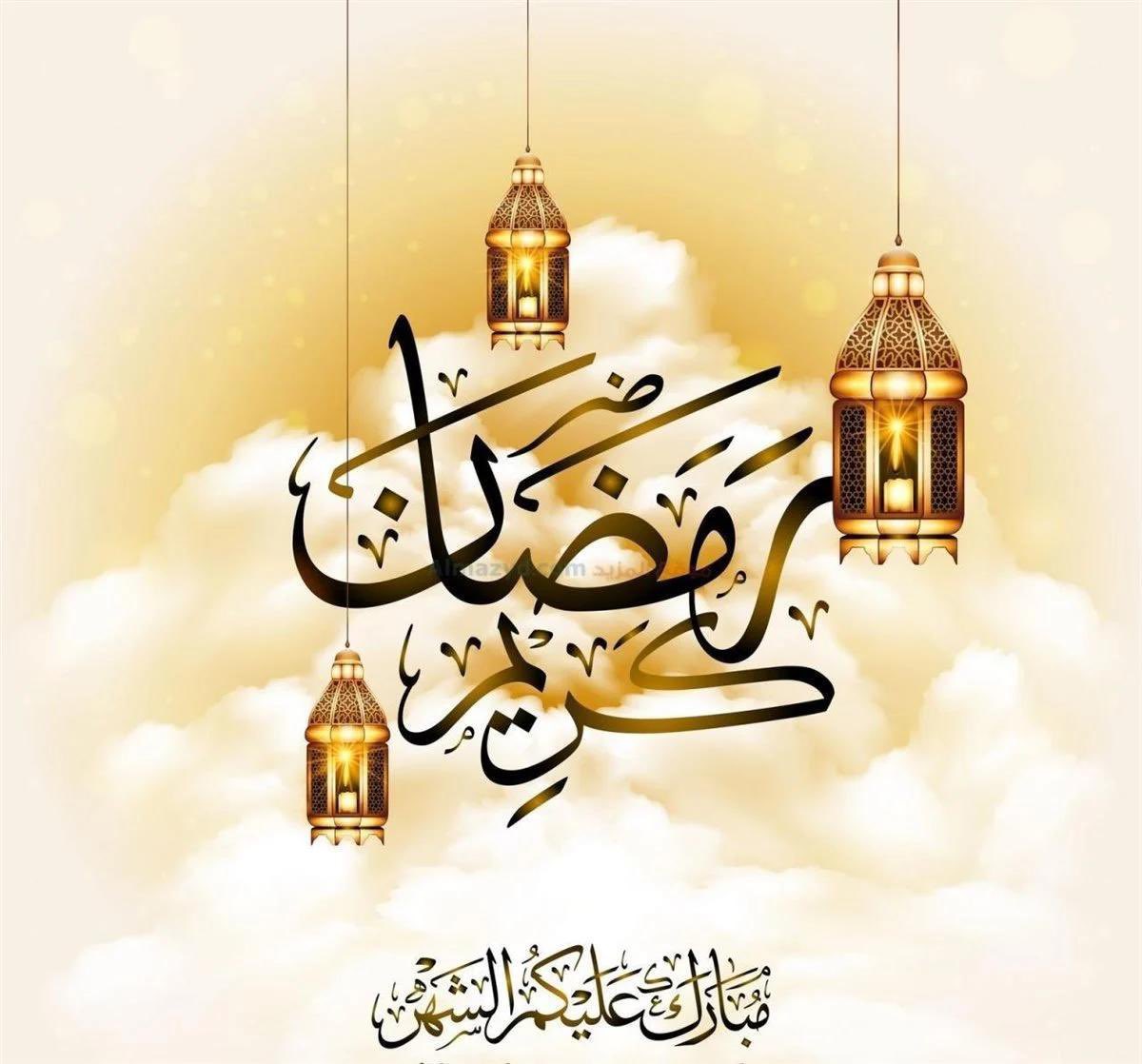رود العقاد tweet media
