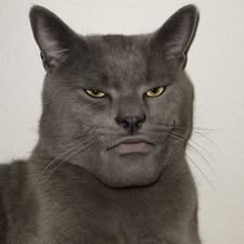 Ur softboy tweet media