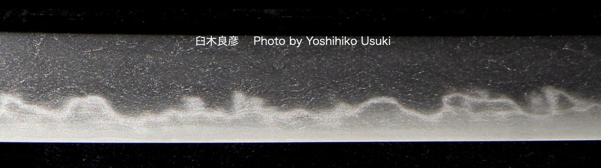 研師　臼木良彦 tweet media