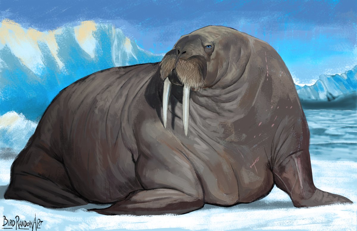 BirdRandomART🦤 tweet media