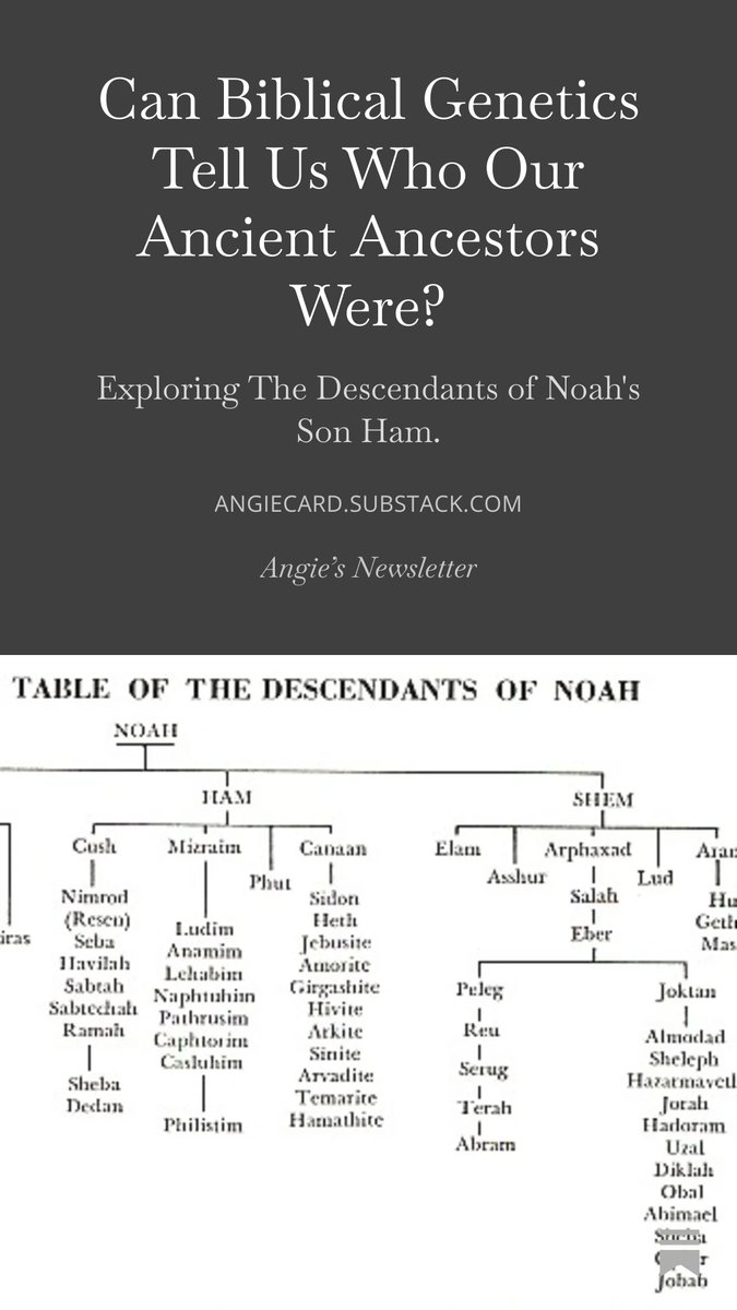 TheAngieCard tweet media