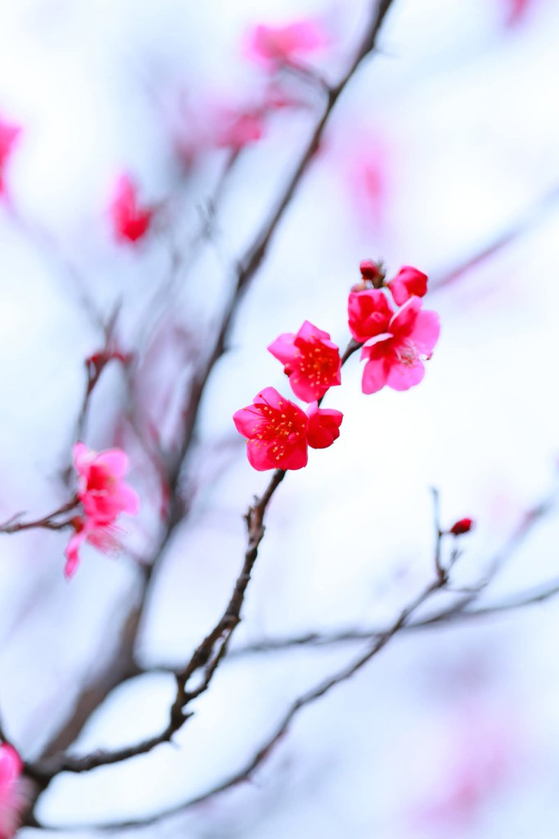 マルマル (@TGIMJcGPFppZZxP) / Posts / X