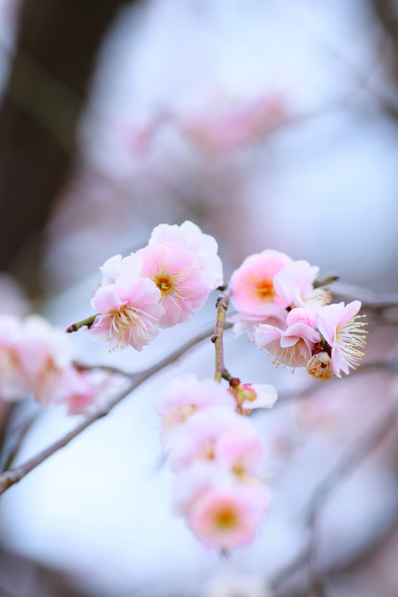 マルマル (@TGIMJcGPFppZZxP) / Posts / X