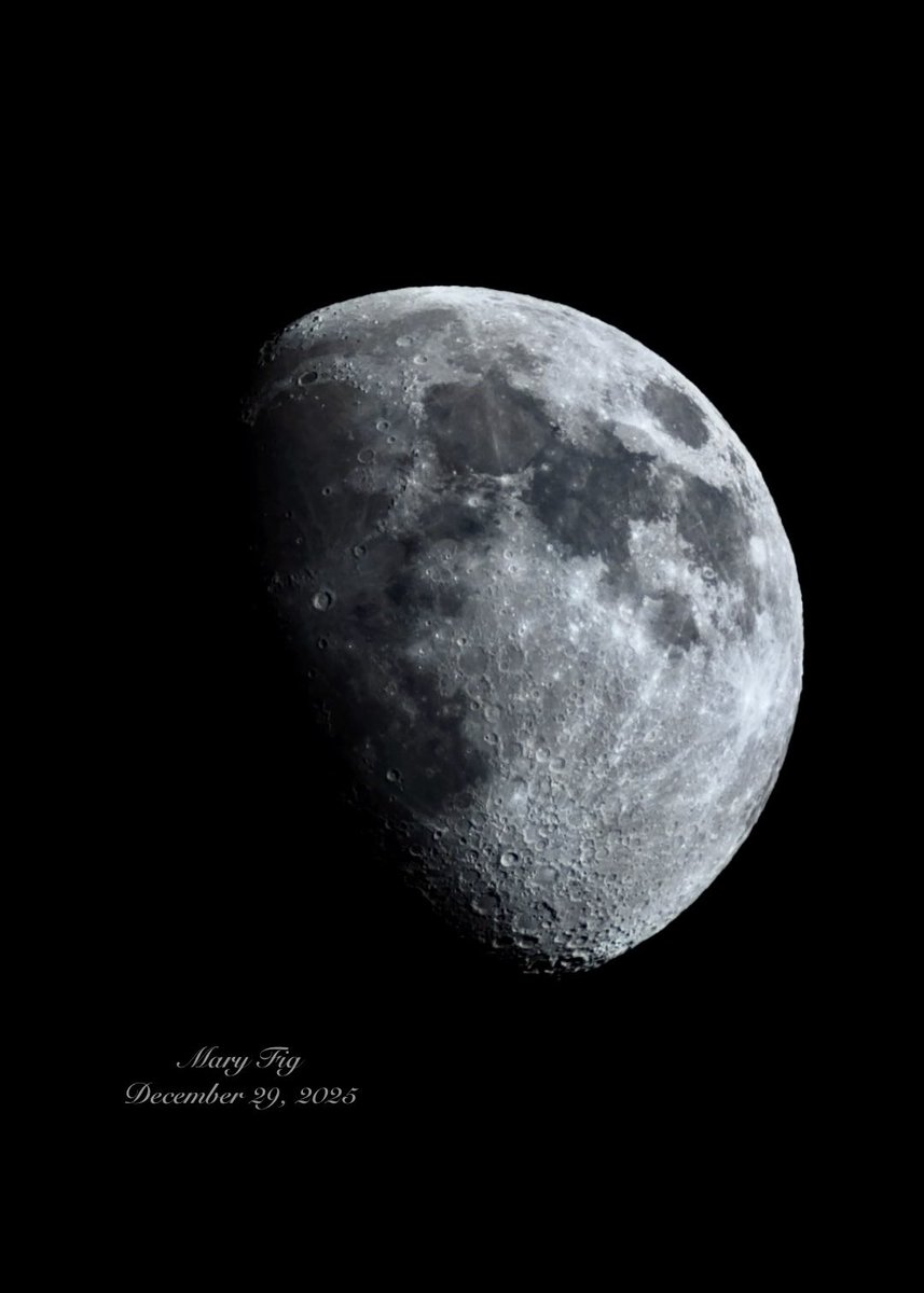 mary mommom tweet media