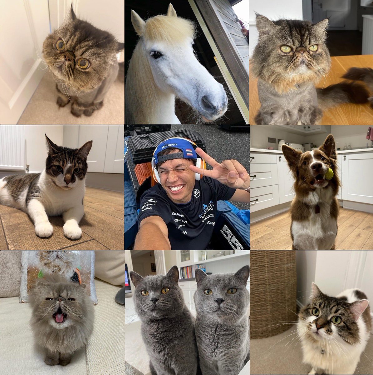 alex albon variants