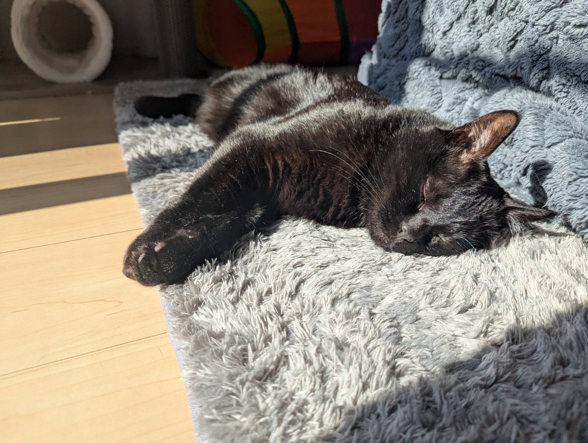 外寒いけど部屋あったかい