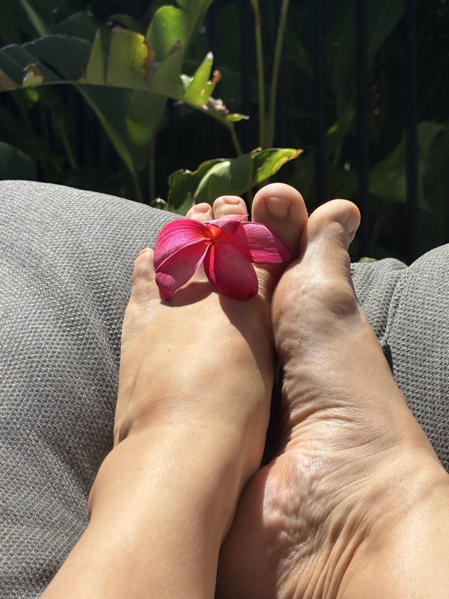 RealSlavicFeet's tweet photo. It’s so good to relax and catch a bit of sunshine in my lunch break 🌺 #natural #feet #relaxing https://t.co/tzi78rwvRG