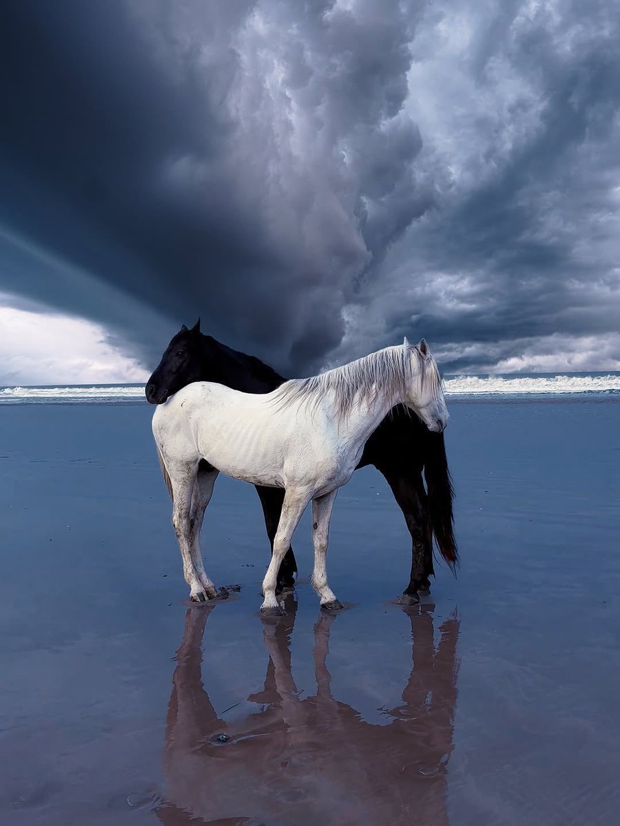 بحر 🌊 (@butterflless) on Twitter photo 