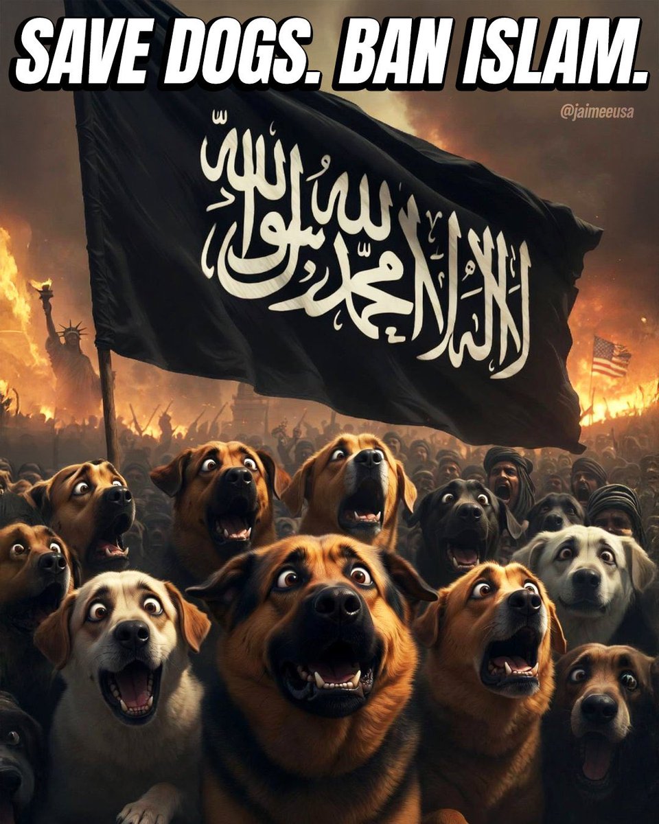 Wake Up America 🇺🇸🙏 tweet media