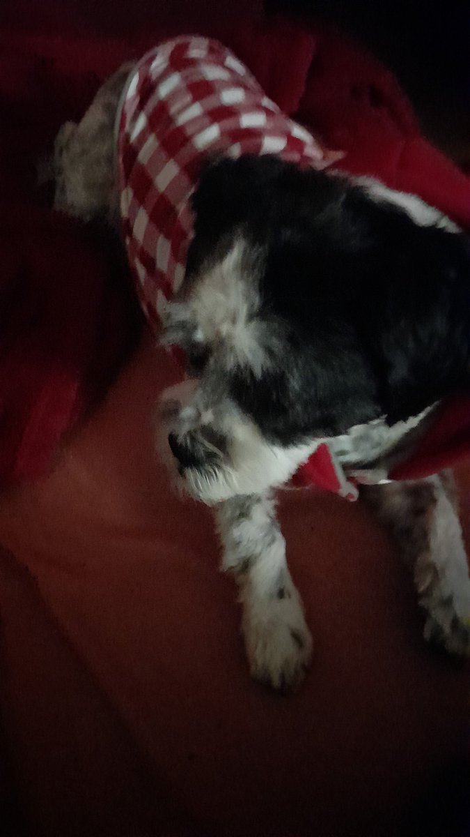 RiaSanders tweet media