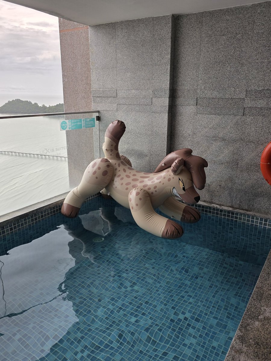 InflatablesAndPooltoys tweet media