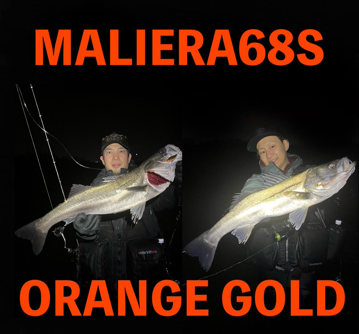 大坊 重哲(風来) (@whatsup_fish) / Posts / X