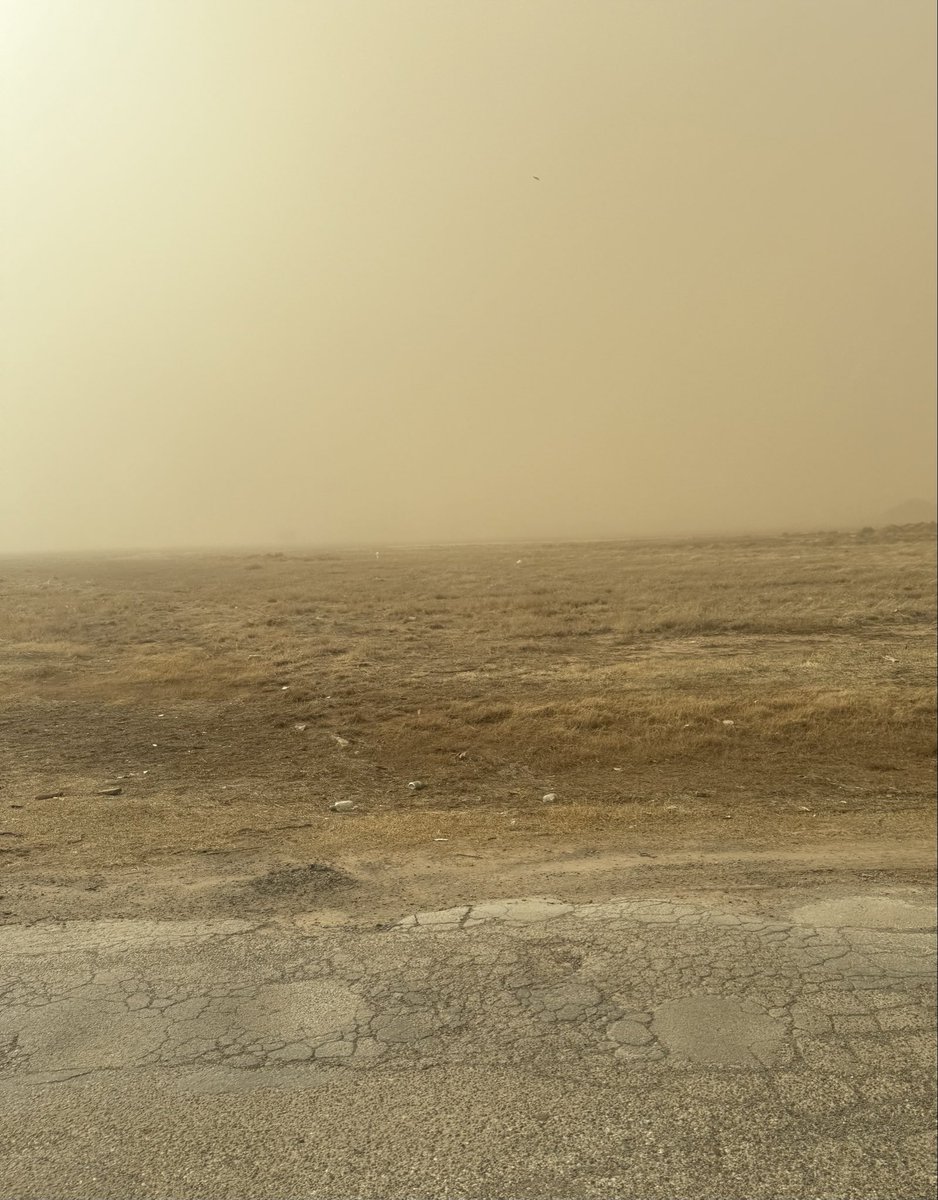Whenever we say you have to be Texas Tough to live in West Texas especially in the LBK… this is what we mean… the weak don’t last long here…on somedays even the wind &amp; dust will try to kill you. Be safe out there kinfolk 
🫡💯💪😳🙏