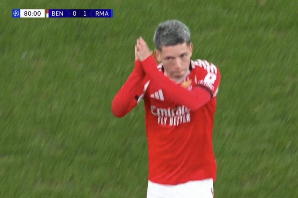 REAL MIL GRAU tweet media