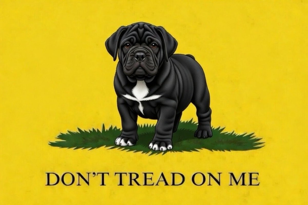 ABPosse007's tweet photo. @GuntherEagleman #DogsBeforeMuslims โฆ Assimilate of GET OUT ๐กโค๏ธ๐พ https://t.co/BZbARnjGjK