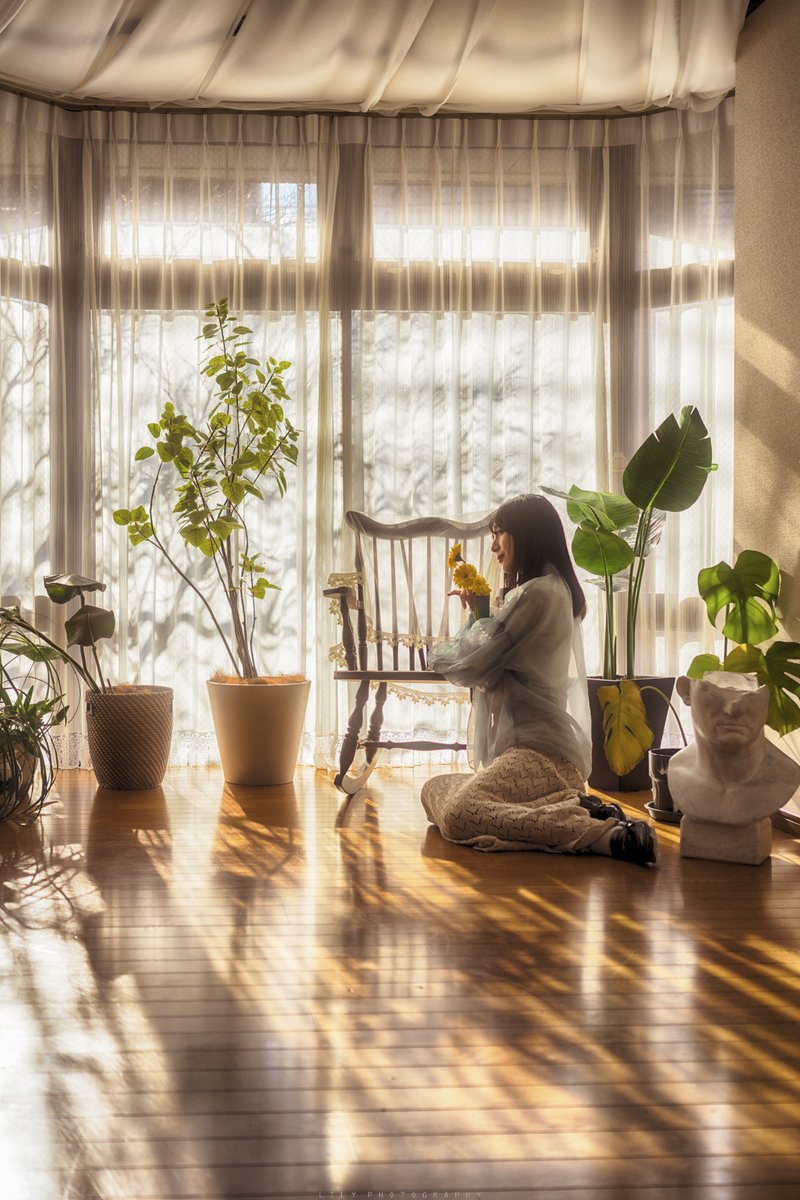 ◸
光にほどける、小春の午後
◺
#まいにちありち <a href="/studionovember_/">スタジオノーベンバー🌸3末閉店</a>
#lilyphotography #portrait #スタジオノーベンバー