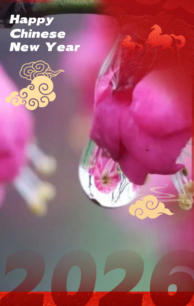 Discover Yantai tweet media