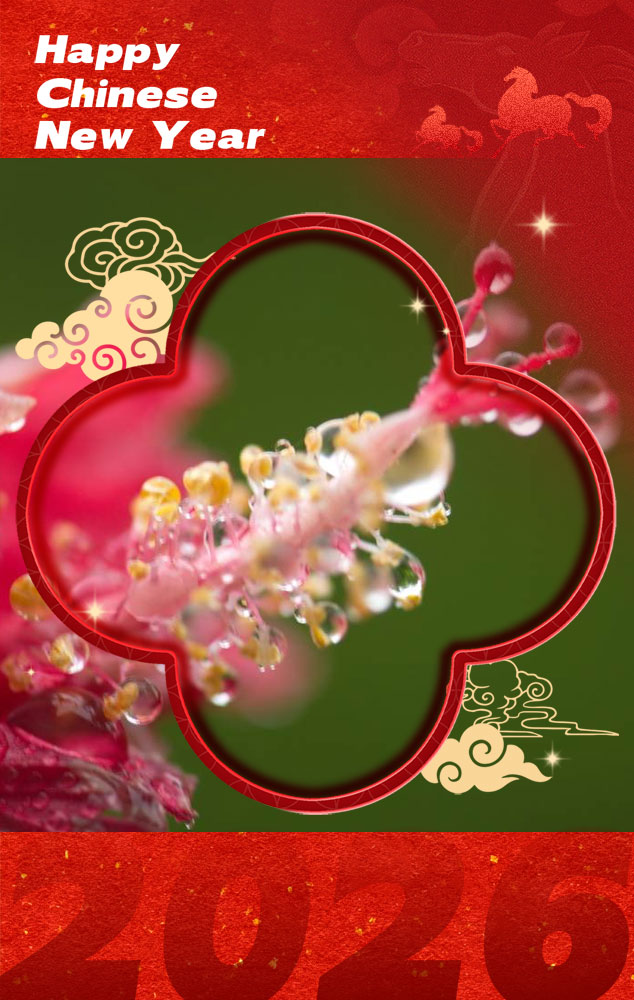 Discover Yantai tweet media